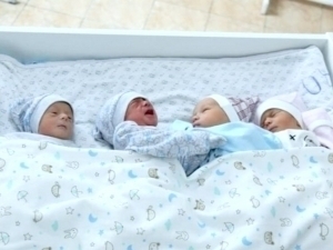 Suyunchi! Toshkent viloyatida 4 nafar egizak tug‘ildi