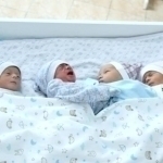 Suyunchi! Toshkent viloyatida 4 nafar egizak tug‘ildi