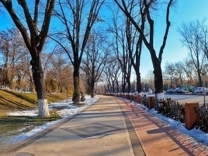 Эртага қандай об-ҳаво бўлиши айтилди