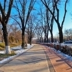 Ertaga qanday ob-havo bo‘lishi aytildi