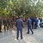 Cobra snakes were released in Yangiyol