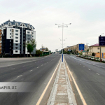 Ўзбекистонда автомобилсиз кун белгиланди