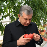 Президент – замонавий иссиқхонада 