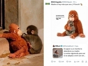 Пaнчнинг севимли ўйинчоғига талаб кескин ошиб кетди (видео)