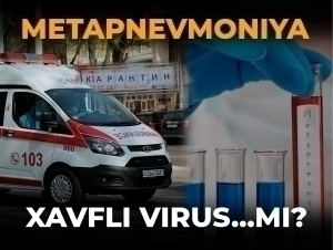 Metapnevmovirus xavfli virus...mi?