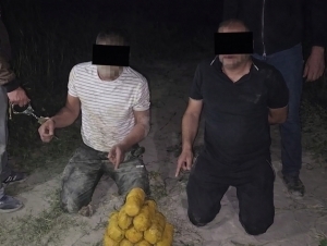 O‘zbekistonda 35 ta uyushgan narkojinoiy guruh aniqlandi