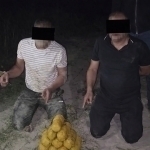 35 organized drug trafficking groups uncovered in Uzbekistan