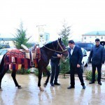 Surxondaryoning “so‘kong‘ich” hokimi chempionga qorabayir sovg‘a qildi