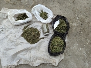 Farg‘onada 7 mlrd so‘mlik narkotik aniqlandi