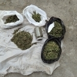 Farg‘onada 7 mlrd so‘mlik narkotik aniqlandi