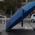 May 17 forecast: Heat, variability, and short rain bursts in key regions