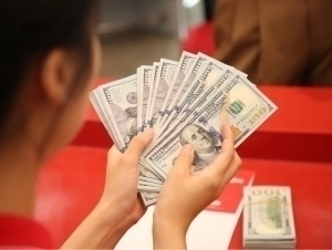 Dollarning rasmiy kursi yana pasaydi