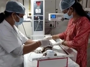 Hindistonda yangi tug‘ilgan chaqaloq tiriklayin ko‘mildi 