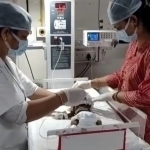 Hindistonda yangi tug‘ilgan chaqaloq tiriklayin ko‘mildi 
