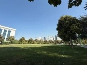 Toshkent shahrida yashil hududlar saqlab qolinishi shart – Urbanizatsiya milliy qo‘mitasi