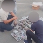 Cobalt’да 41 кг “опий” олиб кетаётган шахс қўлга тушди (видео)