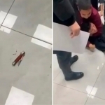 Talaba professorga pichoq bilan hujum qildi 