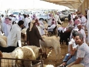 Saudiyada Qurbon hayiti qachon nishonlanishi e’lon qilindi