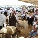 Saudiyada Qurbon hayiti qachon nishonlanishi e’lon qilindi