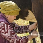 Mahalladagi xotin-qizlar faoli qancha oylik oladi?