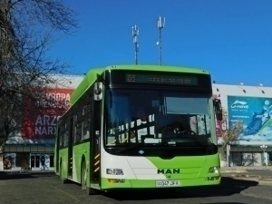 Toshkent, Andijon va Buxoroda jamoat transportlari bepul bo‘ladi