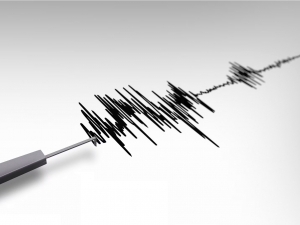 Earthquake in Afghanistan felt in Uzbekistan