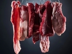 Қозоғистонда мол гўшти экспортига чеклов қўйилди 