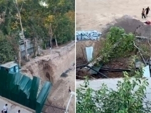 Olmazordagi fojia: hududda 13 tup daraxt kesib tashlandi