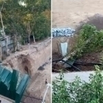 Олмазордаги фожиа: ҳудудда 13 туп дарахт кесиб ташланди