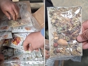 Individuals smuggling drugs from Afghanistan were apprehended in Surkhandarya