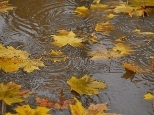 Rain is expected in several regions tomorrow