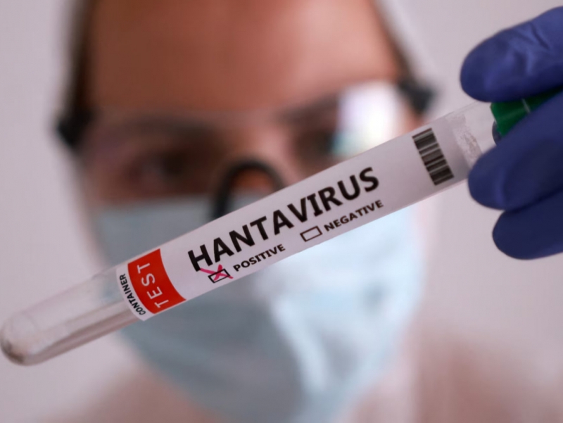 Vaziyat jiddiy: Ispaniya hantavirus tarqalgan kema yo‘lovchilarini karantinga oldi