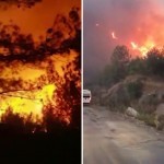 O‘t balosi: Turkiyada yana o‘rmon yonyapti