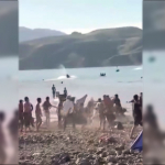 Chorvoqda yuz bergan ommaviy mushtlashuv bo‘yicha izoh berildi