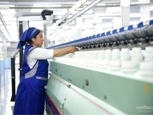 In Andijan, a cotton cluster was also started