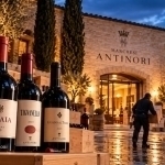 “Eng yirik vino o‘g‘riligi”. Italiyada 30 ming shisha vino o‘g‘irlab ketildi