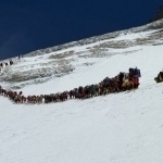 Everestda rekord: Bir kunda 274 nafar alpinist cho‘qqiga chiqdi (video)