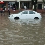 President Mirziyoyev criticizes Tashkent's drainage system