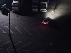 Тошкентда 2 киши итларнинг устига машинасини ҳайдади