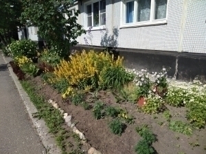 Toshkentda yoz va bahorda shaxsiy tomorqani sug‘orish cheklovi bekor qilindi