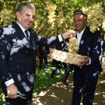 Bog‘dorchilik va issiqxona xo‘jaligi rivojlantiriladi – Prezident qarori