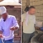 Hedgehog and snake soup sellers detained in Fergana (video)