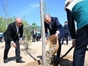 Президент Миллий дендрология боғини барпо этишга старт берди