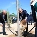 Prezident Milliy dendrologiya bog‘ini barpo etishga start berdi