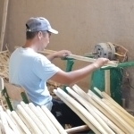 Aholining bandlik reytingi e’lon qilindi. O‘zbekiston nechanchi o‘rinda?