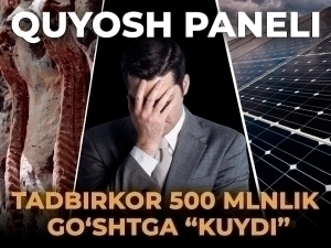 Quyosh panellari. Tadbirkor 500 millionlik go‘shtiga “kuydi”