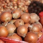 O‘zbekistonda piyoz eksportiga qo‘yilgan cheklov bekor qilindi