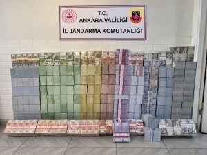Mashhur blogerning tergovida yangi reyd: katta miqdorda naqd pul topildi