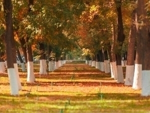 Tomorrow’s weather forecast announced