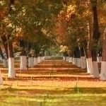 Tomorrow’s weather forecast announced